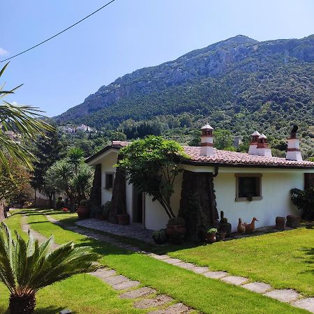 Vila Casa Bados Dorgali Exteriér fotografie