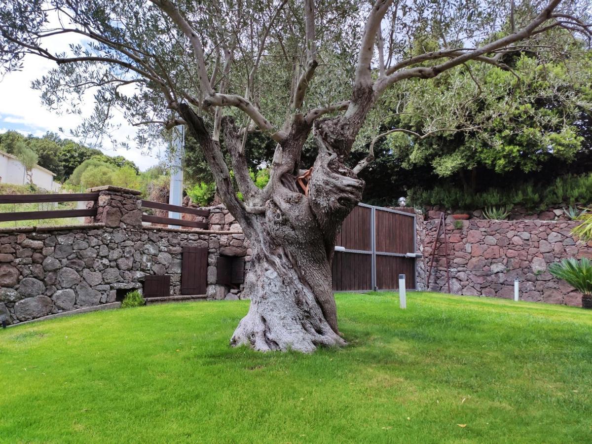 Vila Casa Bados Dorgali Exteriér fotografie