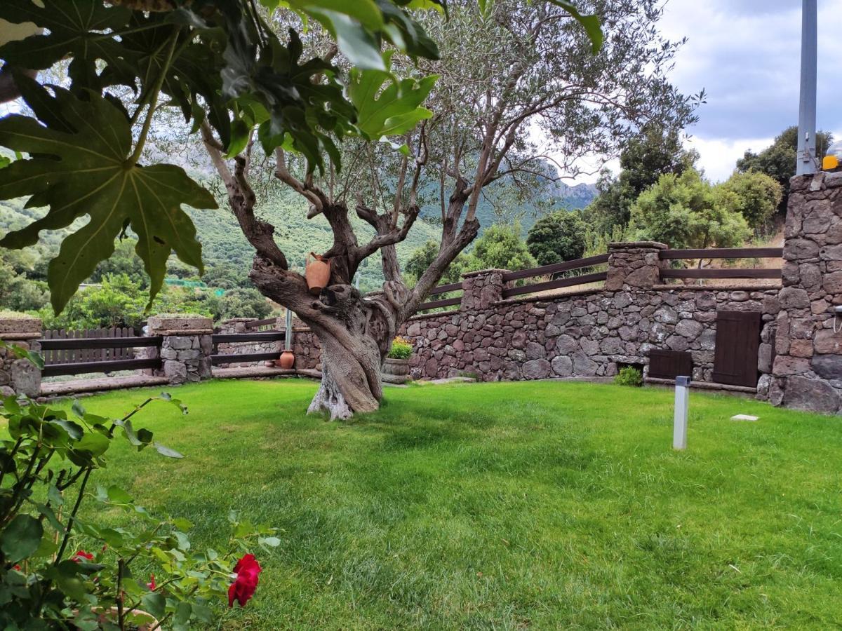 Vila Casa Bados Dorgali Exteriér fotografie
